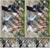 Evenement foto: Serie 1815