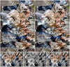 Evenement foto: Serie 1841