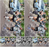 Evenement foto: Serie 1853
