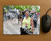 Evenement foto: Serie 1854