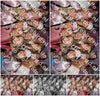Evenement foto: Serie 1989