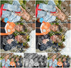 Evenement foto: Serie 1997