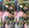 Evenement foto: Serie 1998