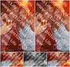 Evenement foto: Serie 2004