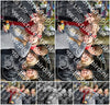 Evenement foto: Serie 1825
