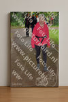 Evenement foto: Serie 1863