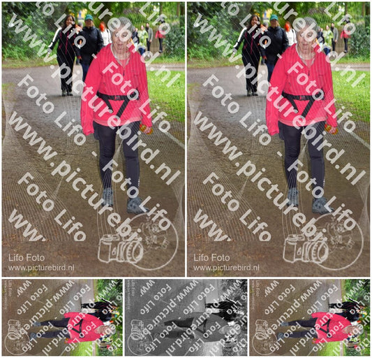 Evenement foto: Serie 1863
