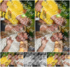 Evenement foto: Serie  275