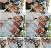 Evenement foto: Serie 1911