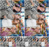 Evenement foto: Serie 1911