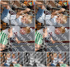 Evenement foto: Serie 1826