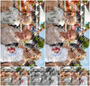 Evenement foto: Serie 1826