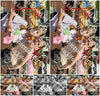 Evenement foto: Serie 1826