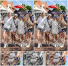 Evenement foto: Serie 1827