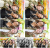 Evenement foto: Serie 1827