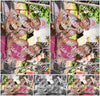 Evenement foto: Serie 1828