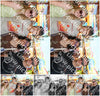 Evenement foto: Serie 1828