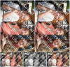 Evenement foto: Serie 1828