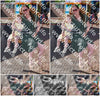 Evenement foto: Serie 1909