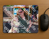 Evenement foto: Serie 1909