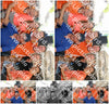 Evenement foto: Serie 1909