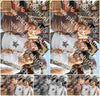 Evenement foto: Serie 1909