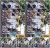 Evenement foto: Serie 1909