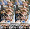 Evenement foto: Serie 1910