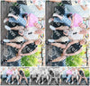 Evenement foto: Serie 1910