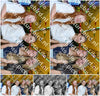Evenement foto: Serie 1910