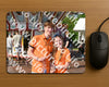 Evenement foto: Serie 1912