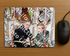 Evenement foto: Serie 1272