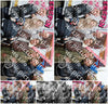 Evenement foto: Serie 1272