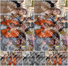 Evenement foto: Serie 1728