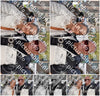 Evenement foto: Serie 1728