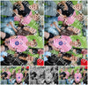 Evenement foto: Serie  WID 101