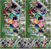 Evenement foto: Serie  WID 101