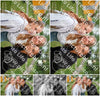 Evenement foto: Serie  WID 101