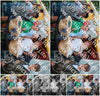 Evenement foto: Serie WID 102