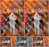 Evenement foto: Serie WID 102
