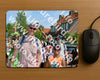 Evenement foto: Serie 1913