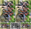 Evenement foto: Serie 1914