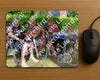 Evenement foto: Serie 1914
