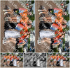 Evenement foto: Serie 1914