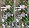 Evenement foto: Serie 1915