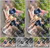 Evenement foto: Serie 1915