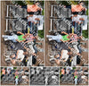 Evenement foto: Serie 1915
