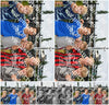 Evenement foto: Serie 1915