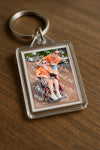 Evenement foto: Serie 1915
