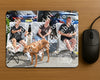 Evenement foto: Serie 1915
